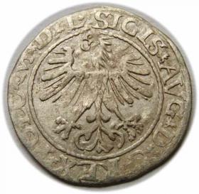 Picture for: Półgrosz 1564 Zygmunt II August Wilno