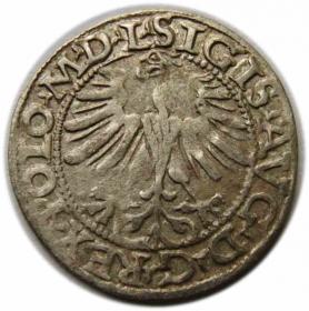 Picture 2 for: Półgrosz 1565 Zygmunt II August Wilno