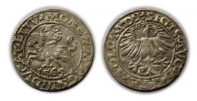 Picture for: Półgrosz 1565 Zygmunt II August Wilno