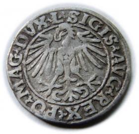 Picture 2 for: Half groschen 1548 Sigismund II Augustus Vilnius