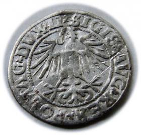 Picture 2 for: Półgrosz 1549 Zygmunt II August Wilno