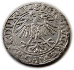 Picture 2 for: Półgrosz 1550 Zygmunt II August Wilno