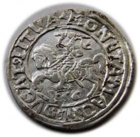 Picture for: Półgrosz 1556 Zygmunt II August Wilno