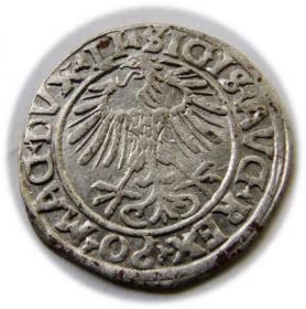 Picture 2 for: Półgrosz 1556 Zygmunt II August Wilno