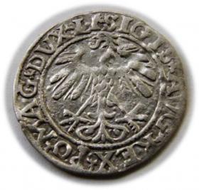 Picture 2 for: Półgrosz 1558 Zygmunt II August Wilno