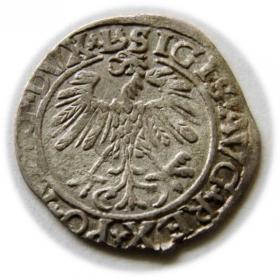 Picture 2 for: Half groschen 1559 Sigismund II Augustus Vilnius