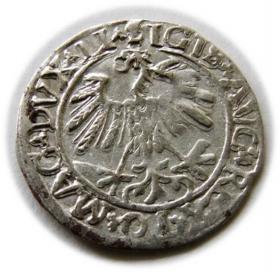 Picture 2 for: Half groschen 1559 Sigismund II Augustus Vilnius