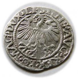 Picture 2 for: Półgrosz 1559 Zygmunt II August Wilno