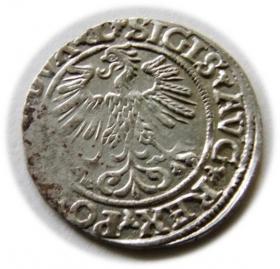 Picture 2 for: Półgrosz 1560 Zygmunt II August Wilno