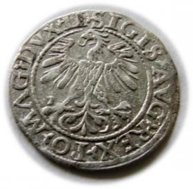 Picture 2 for: Półgrosz 1560 Zygmunt II August Wilno