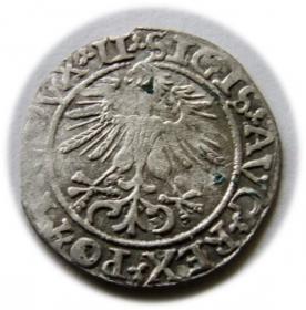 Picture 2 for: Półgrosz 1561 Zygmunt II August Wilno