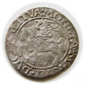 Picture for: Półgrosz 1561 Zygmunt II August Wilno