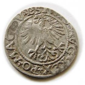 Picture 2 for: Półgrosz 1561 Zygmunt II August Wilno