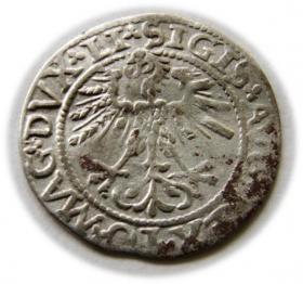 Picture 2 for: Half groschen 1562 Sigismund II Augustus Vilnius