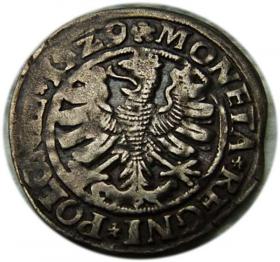 Picture 2 for: Grosz 1529 Zygmunt I Stary Kraków