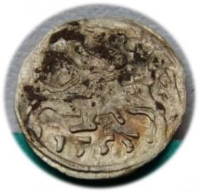 Picture for: Denar 1555 Zygmunt II August Wilno