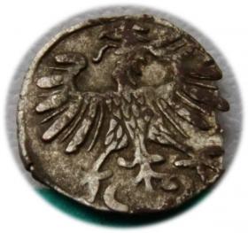 Picture 2 for: Denar 1556 Zygmunt II August Wilno