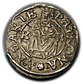 Picture for: Denar 1576 Maksymilian II Habsburg Węgry