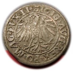 Picture 2 for: Półgrosz 1547 Zygmunt II August Wilno