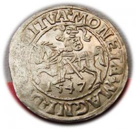 Picture for: Półgrosz 1547 Zygmunt II August Wilno