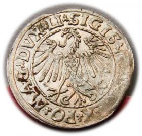 Picture 2 for: Półgrosz 1547 Zygmunt II August Wilno