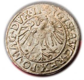 Picture 2 for: Półgrosz 1547 Zygmunt II August Wilno