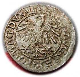 Picture 2 for: Half groschen 1547 Sigismund II Augustus Vilnius