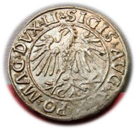 Picture 2 for: Half groschen 1547 Sigismund II Augustus Vilnius