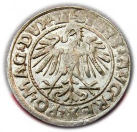 Picture 2 for: Half groschen 1547 Sigismund II Augustus Vilnius