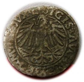 Picture 2 for: Półgrosz 1548 Zygmunt II August Wilno