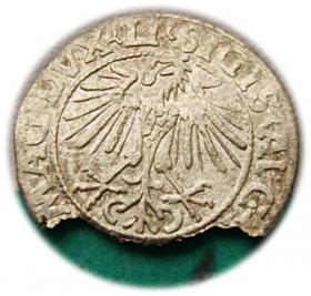 Picture 2 for: Half groschen 1548 Sigismund II Augustus Vilnius