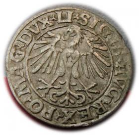 Picture 2 for: Półgrosz 1548 Zygmunt II August Wilno