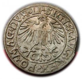 Picture 2 for: Półgrosz 1548 Zygmunt II August Wilno