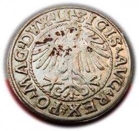 Picture 2 for: Półgrosz 1548 Zygmunt II August Wilno