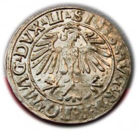 Picture 2 for: Półgrosz 1548 Zygmunt II August Wilno