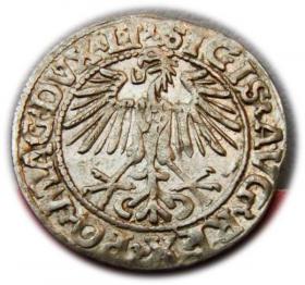 Picture 2 for: Półgrosz 1548 Zygmunt II August Wilno