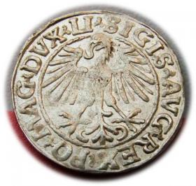 Picture 2 for: Półgrosz 1548 Zygmunt II August Wilno