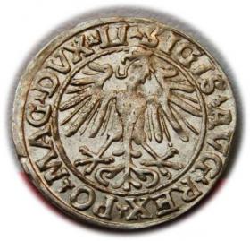 Picture 2 for: Półgrosz 1548 Zygmunt II August Wilno