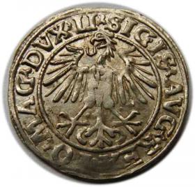 Picture 2 for: Półgrosz 1548 Zygmunt II August Wilno