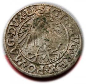 Picture 2 for: Półgrosz 1549 Zygmunt II August Wilno