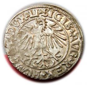 Picture 2 for: Półgrosz 1549 Zygmunt II August Wilno