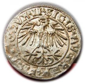 Picture 2 for: Półgrosz 1549 Zygmunt II August Wilno