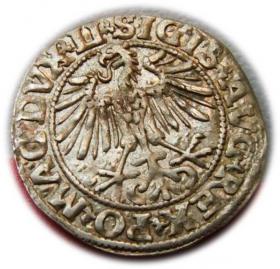 Picture 2 for: Półgrosz 1549 Zygmunt II August Wilno