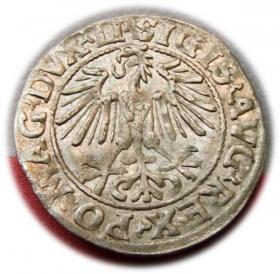 Picture 2 for: Półgrosz 1549 Zygmunt II August Wilno