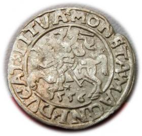 Picture for: Półgrosz 1556 Zygmunt II August Wilno