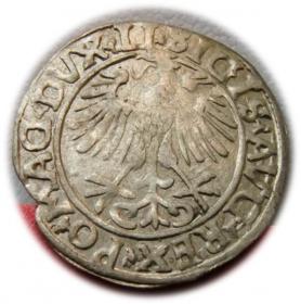 Picture 2 for: Półgrosz 1556 Zygmunt II August Wilno