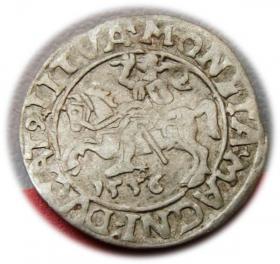 Picture for: Półgrosz 1556 Zygmunt II August Wilno