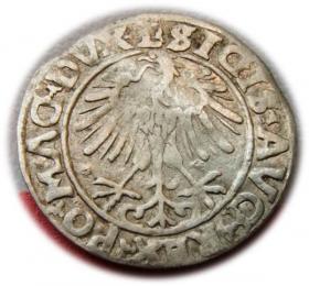 Picture 2 for: Półgrosz 1556 Zygmunt II August Wilno