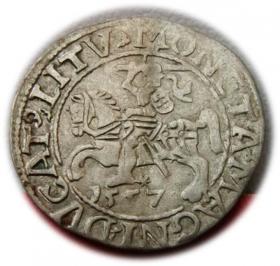 Picture for: Półgrosz 1557 Zygmunt II August Wilno