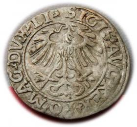 Picture 2 for: Półgrosz 1557 Zygmunt II August Wilno